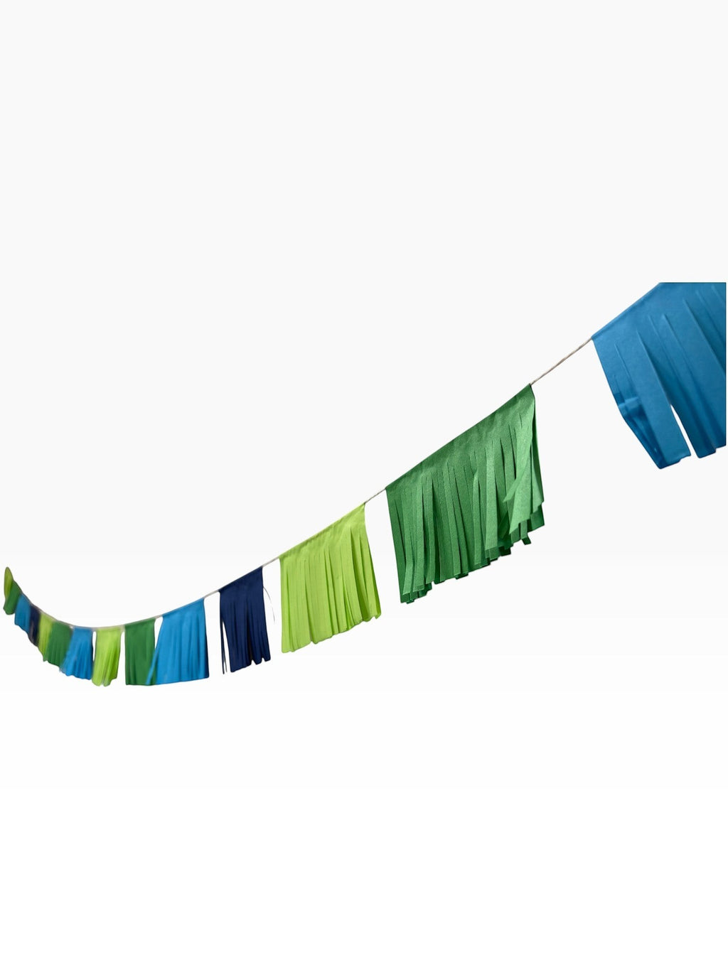 Paper Party Studio blue and green fringe garland with alternating navy, royal, sky, kelly, and lime paper tassels.