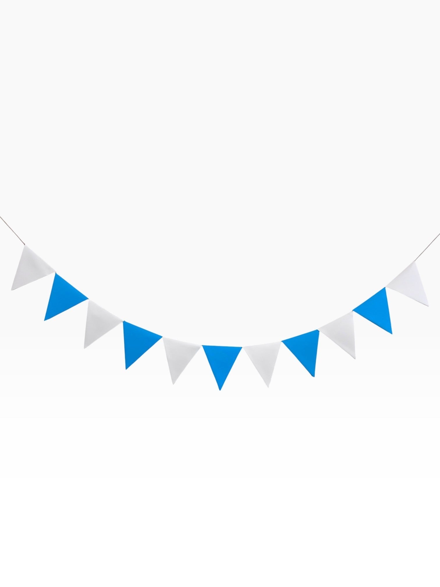 Paper Party Studio blue and white pennant bunting with classic triangle cardstock flags strung on cord.