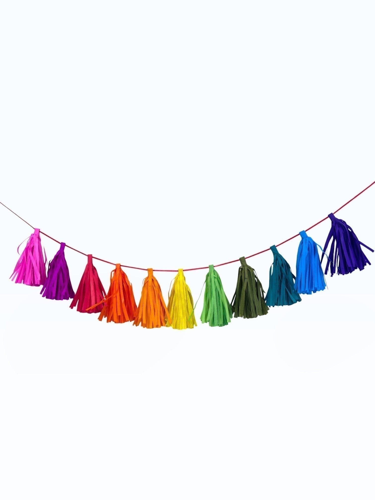 Paper Party Studio rainbow tissue paper tassel garland for party decorations, hand-strung on a fine red cord.