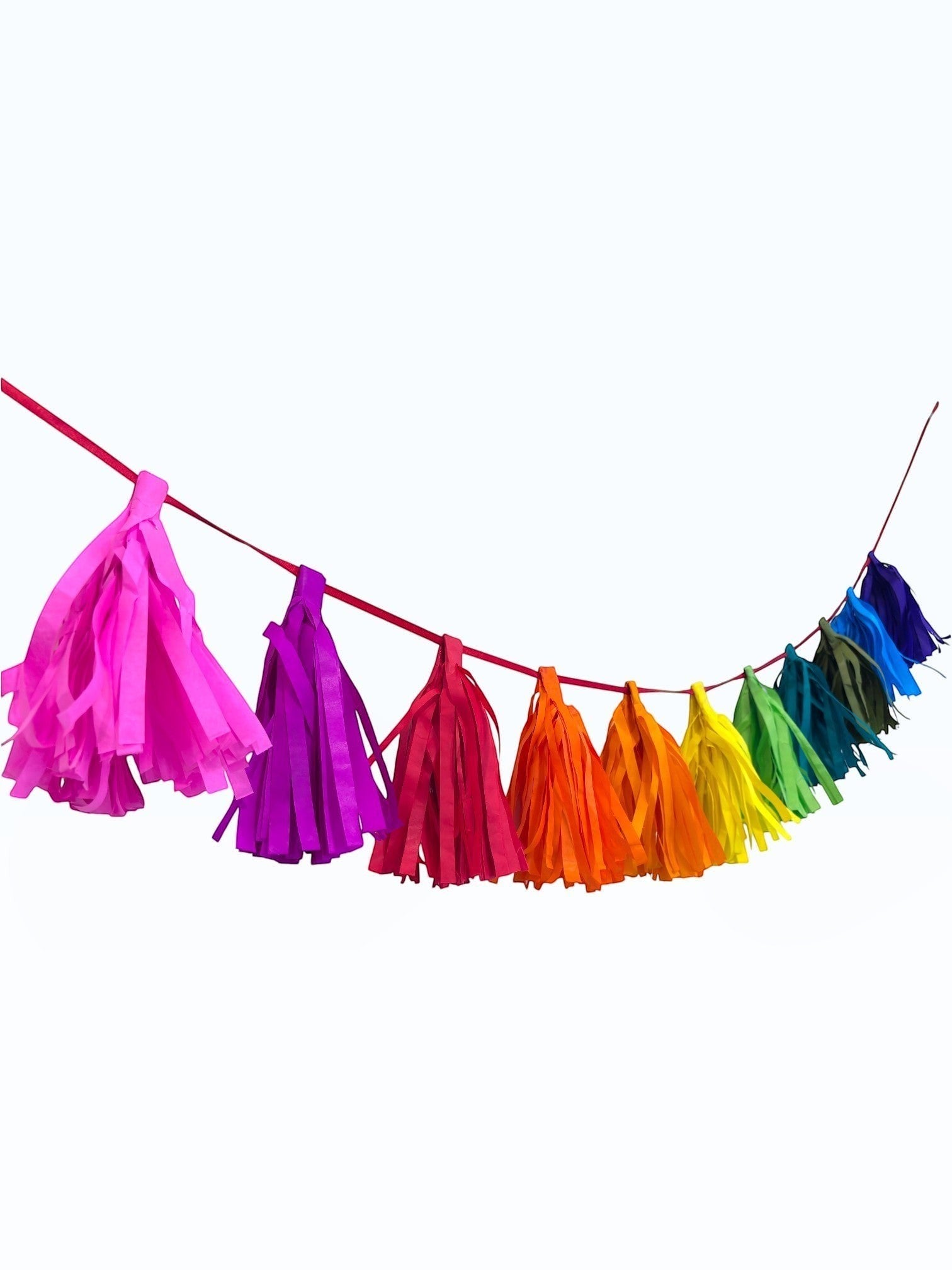 Paper Party Studio rainbow tissue paper tassel garland for party decorations, hand-strung on a fine red cord.