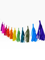 Paper Party Studio rainbow tissue paper tassel garland for party decorations, hand-strung on a fine cord.