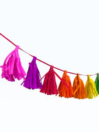Paper Party Studio rainbow tissue paper tassel garland for birthday party decorations on a red string