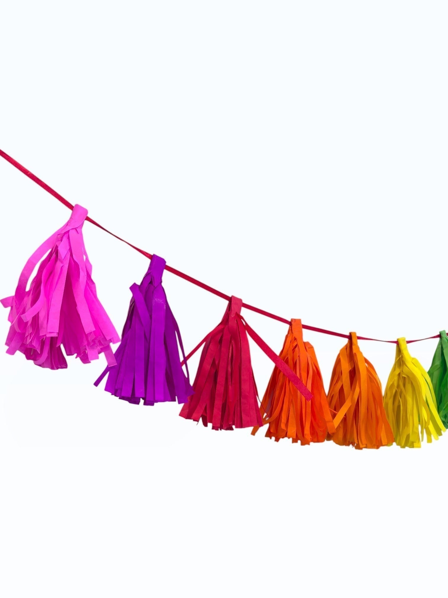 Paper Party Studio rainbow tissue paper tassel garland for birthday party decorations on a red string