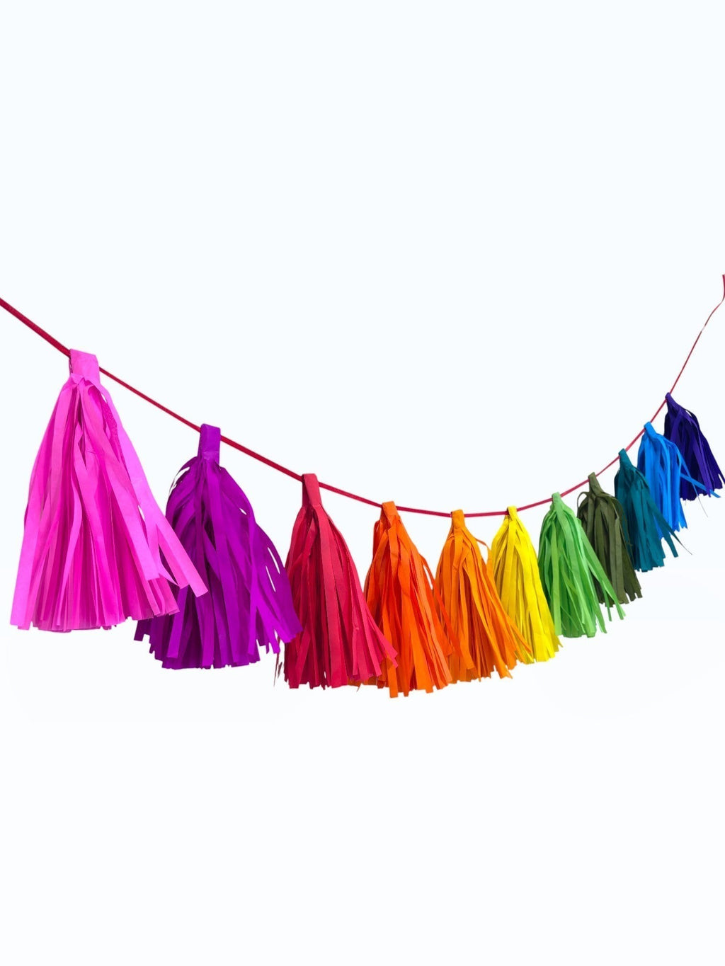 Paper Party Studio rainbow tissue paper tassel garland for party decorations, hand-strung on a fine red cord.