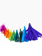Paper Party Studio rainbow tissue paper tassel garland for party decorations, hand-strung on a fine cord.