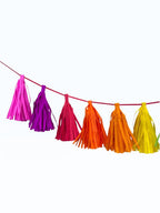 Paper Party Studio rainbow tissue paper tassel garland for party decorations, featuring vibrant hanging tassels.